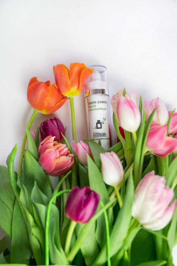 MSM Creme von Pflegeprodukt, halb bedeckt von einem großen Tulpen Blumenstrauß auf einem weißen Hintergrund.